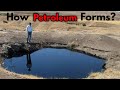 How Petroleum Forms? Simply Explained