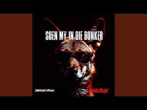 Soen my in die donker (Remix Version)