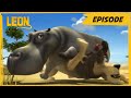 LEON Big Crush