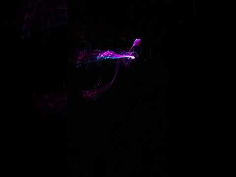 08 Soulvision Festival 2019