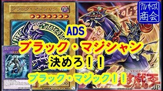【遊戯王ＡＤＳ】ブラック・マジシャン【YGOPRO】Dark Magician【アルバトロス商会】