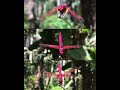 Photography Status Photography Wildlife Natural Naturalphoto