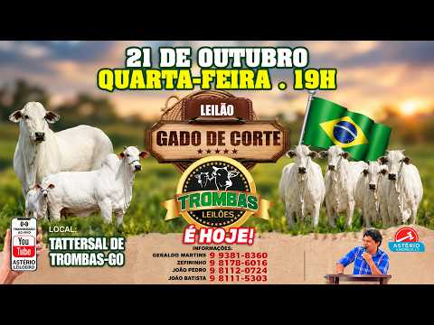 LEILÃO  GADO DE CORTE TROMBAS LEILÕES - TROMBAS GOIAS  - 21 / 10 / 2026