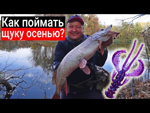 Фото Как поймать щуку осенью? Рабочие проводки и приманки. Почему Nimble должен быть в сумке рыбака?