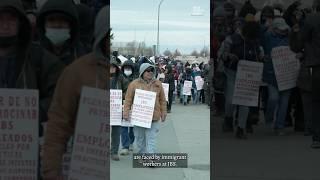 Immigrant workers at JBS are risking deportation to go on strike
