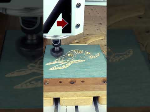 V-Carving a Turtle Design