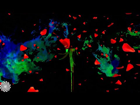 Static Movement ft. Lydia - Still Alive [Visuals]