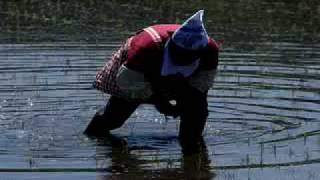 Kero one - Keep it alive! (aoyama rmx)