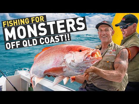 🔥 HUGE crabs and MONSTER fish (Queensland coast, Australia)