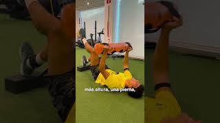 Rehab LCA
