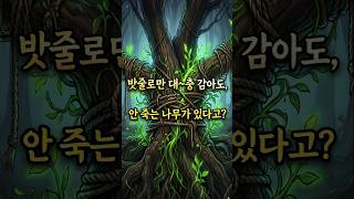 밧줄로만 대충 묶어도 사는 나무..!?