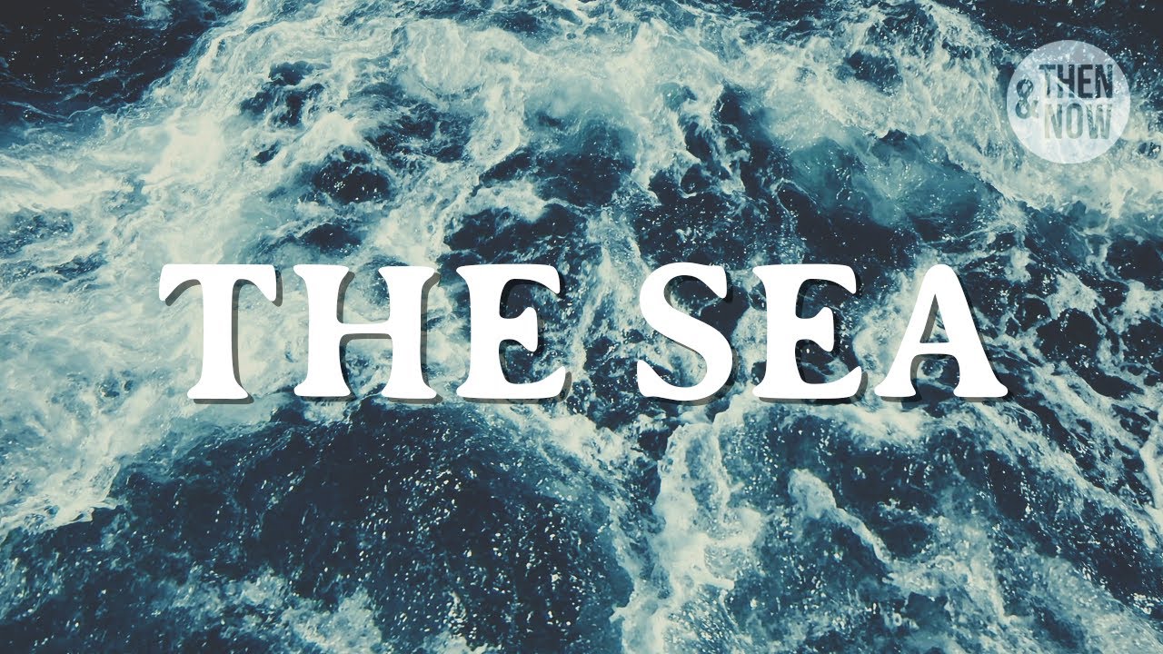 What the Sea can Teach us About Ourselves