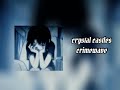 Crystal Castles Pastel Ghost Mix Playlist Slowed Reverb