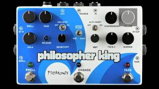 Video thumbnail for Pigtronix Philosopher King Pedal by samashdirect