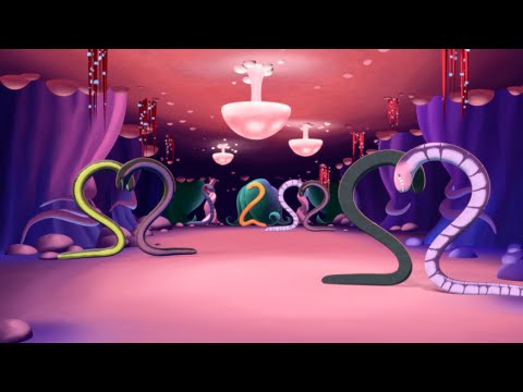 The Caecilian Cotillions Song