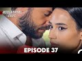 Accidental Love Episode 37 (FULL HD)