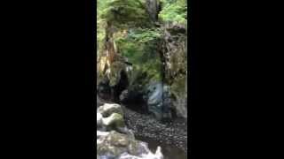 Fairy glen. Betws-y-coed. Gwynedd, north Wales