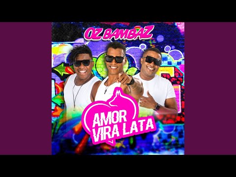 Amor Vira Lata