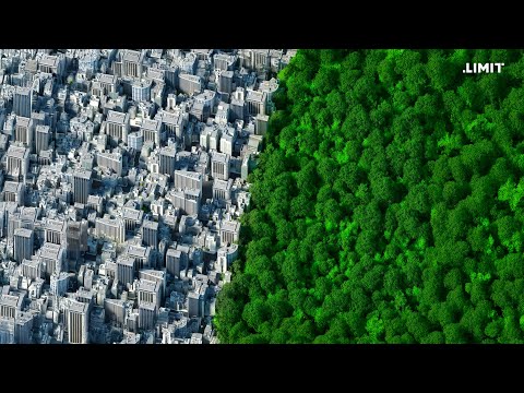 RÉVOLUTION. | LIMIT #documentaire #histoire