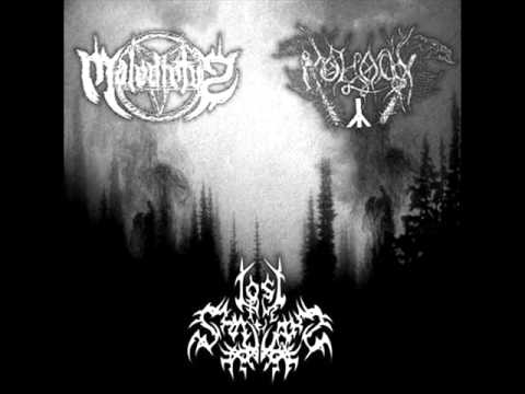 Maledictvs - Falsa Testimonia Blasphemiae