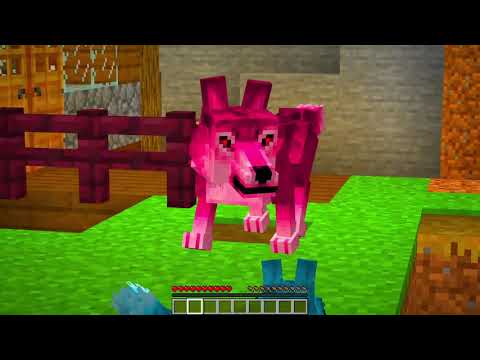 Dalla NASCITA Alla MORTE Di Un LUPO MANNARO Su Minecraft!