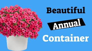 Beautiful Annual Container | Update On Emerald Green Arborvitae | EverCrest