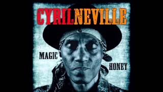 Cyrill Neville -  Blues is the Truth