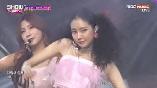 Apink Comeback Stage "Hug Me" + "%%" Show Champion (1/9/2019)