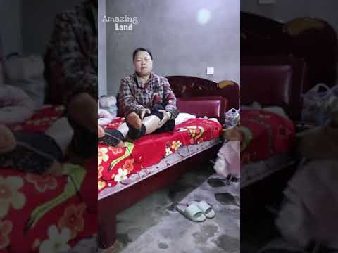 The dog helping mind