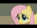 Alone in the Hedge Mage with Fluttershy 