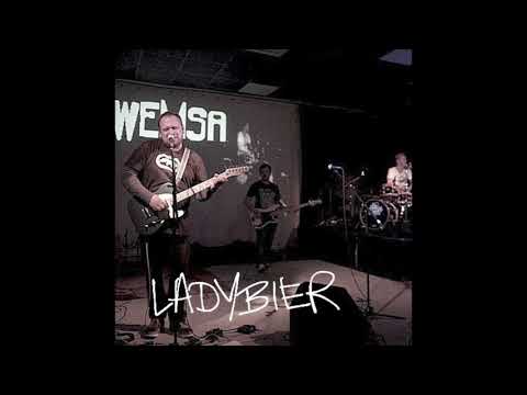 WEMSA - ladybier