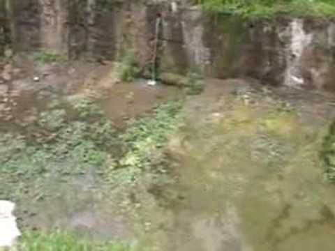 Severinenii beau apă din Dunăre