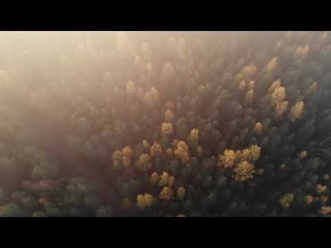 "Palve" - Rolf Roosalu