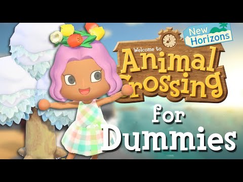 Animal Crossing For Dummies