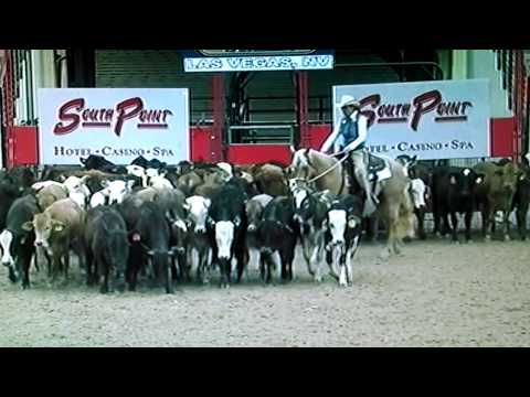 Halo-2013 NRCHA Stakes-Herd