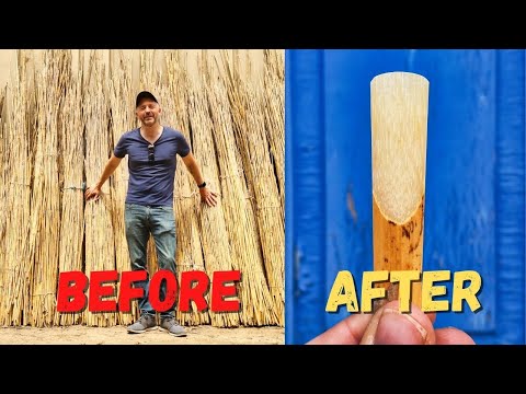 How Saxophone Reeds are Made