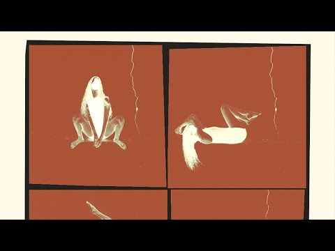 Rafa Pinta - Retrato (Lyric Video)