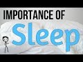 The Importance of Sleep: 8 Scientific Health Benefits of Sleep + Sleeping Tips