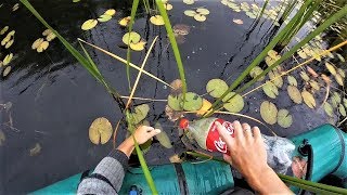 Рыбалка на щуку и сома.