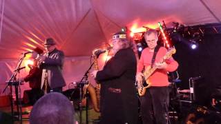 Brave Combo - Lovesick Polka - Dyngus Day