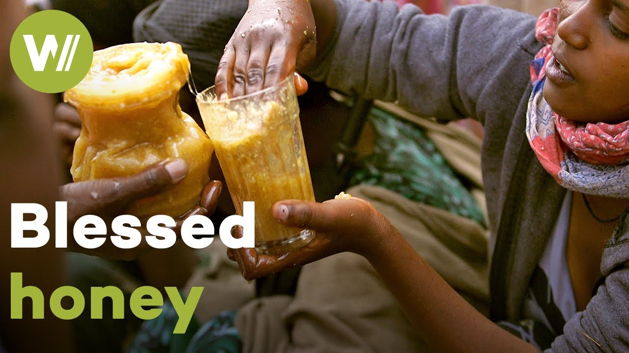 Sacred bees and their honey as a means of livelihood | Master of Bees (Ethiopia)