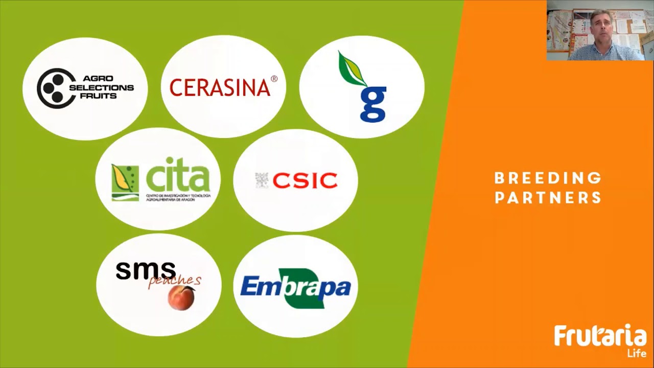 Frutaria Life Presentation