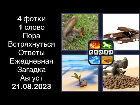 4 фотки 1 слово - Пора Встряхнуться - 21.08.2023 - Ответы Ежедневная Загадка - Август 2023