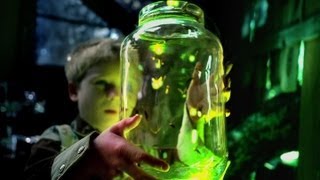 Owl City - Fireflies - (Fireflies Lyrics on Screen)