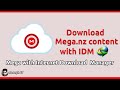 Download Mega Nz Files With IDM Extension Download From Mega Using IDM
