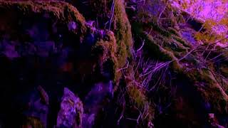 Tiisu - Napa // cover by Kasper