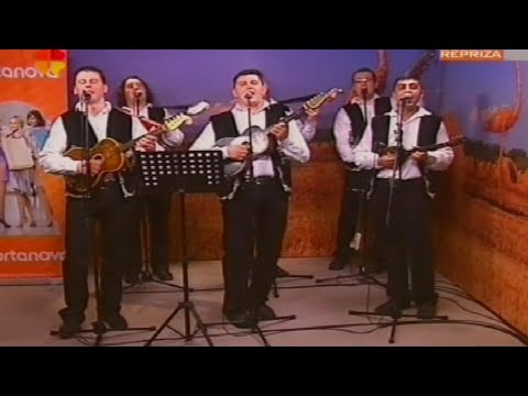 TS Salaš ~ Slavonsko - bosansko - hercegovački MIX