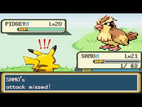 Hugs Gets Destroyed by a Wild Pidgey