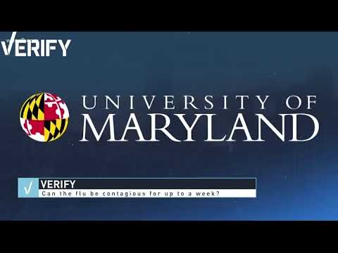 VERIFY: How long are your coworkers contagious with the flu?