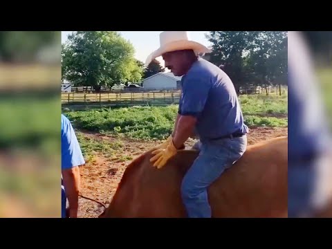 Idiots Around The World 2024! Funny Global Fails #15